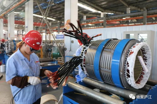 七年化繭成蝶 廬江企業(yè)以技術創(chuàng)新開拓國際市場